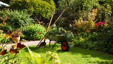 Morecambe Garden Tidy Ups 